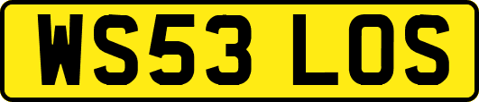 WS53LOS