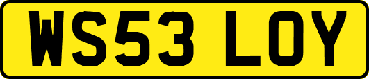 WS53LOY