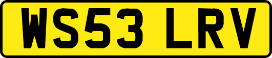 WS53LRV
