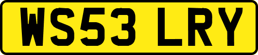 WS53LRY
