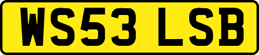 WS53LSB