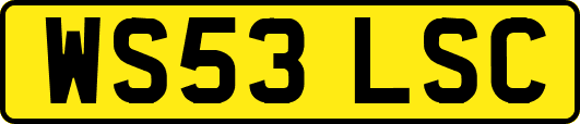WS53LSC