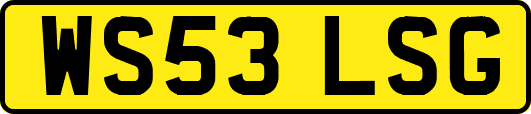 WS53LSG