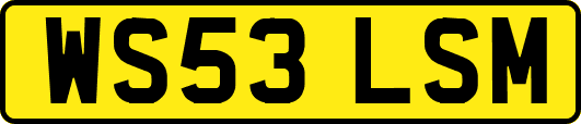 WS53LSM