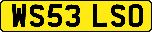 WS53LSO