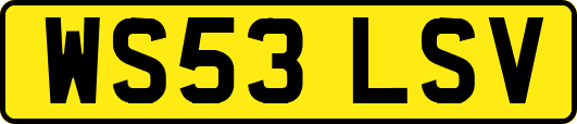 WS53LSV