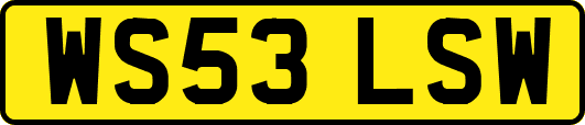 WS53LSW