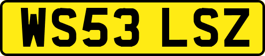 WS53LSZ