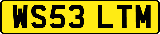 WS53LTM