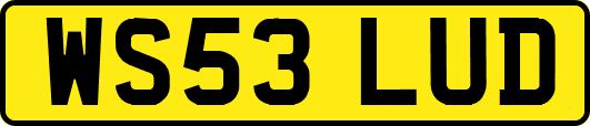 WS53LUD