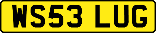 WS53LUG
