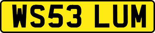 WS53LUM
