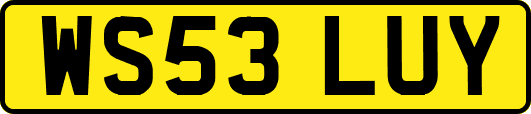 WS53LUY