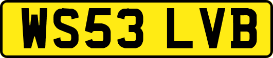 WS53LVB