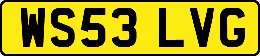 WS53LVG