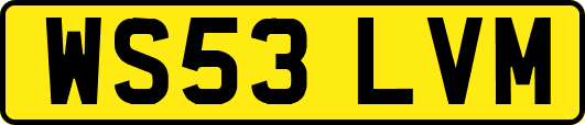WS53LVM