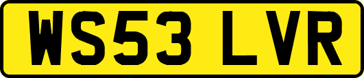WS53LVR