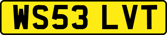 WS53LVT