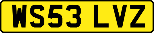 WS53LVZ