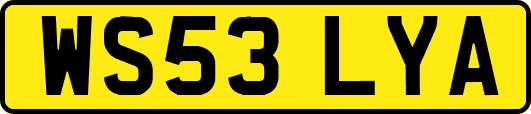 WS53LYA