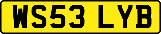 WS53LYB