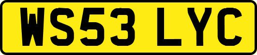 WS53LYC