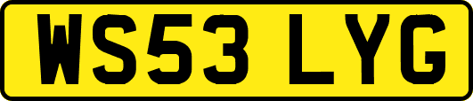 WS53LYG