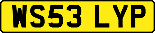 WS53LYP
