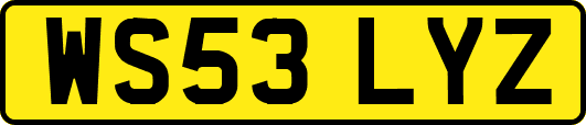 WS53LYZ