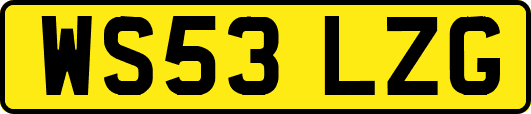 WS53LZG
