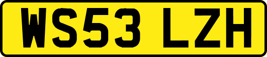 WS53LZH