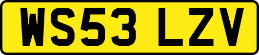 WS53LZV