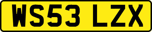 WS53LZX