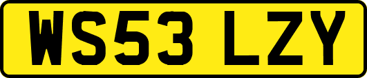 WS53LZY