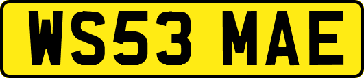 WS53MAE