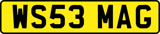 WS53MAG