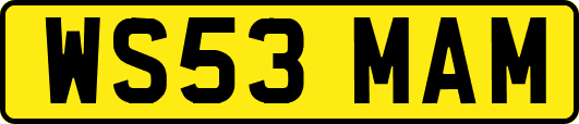WS53MAM