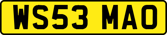 WS53MAO
