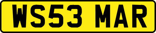 WS53MAR