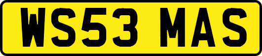 WS53MAS