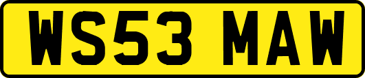 WS53MAW