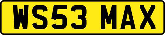WS53MAX