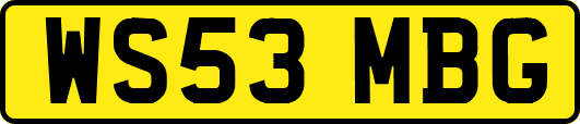 WS53MBG