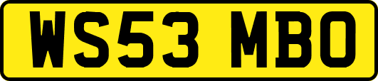 WS53MBO