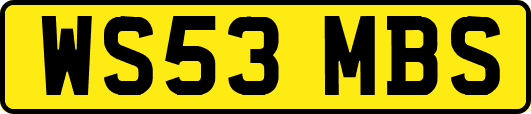 WS53MBS