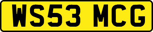 WS53MCG