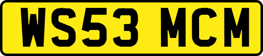 WS53MCM