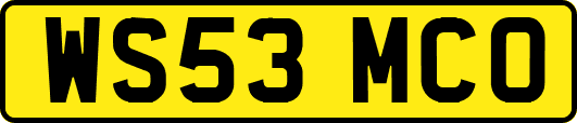 WS53MCO