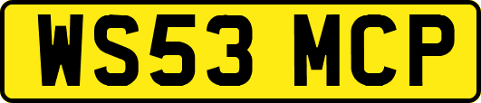 WS53MCP