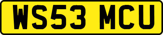 WS53MCU